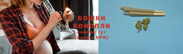 тгк Дмитровск