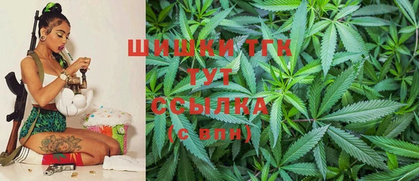 тгк Дмитровск